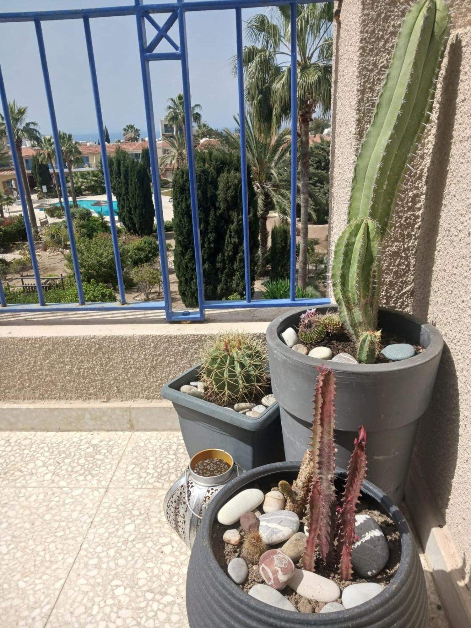 Modern Sea View Apartment Regina Gardens Paphos 外观 照片